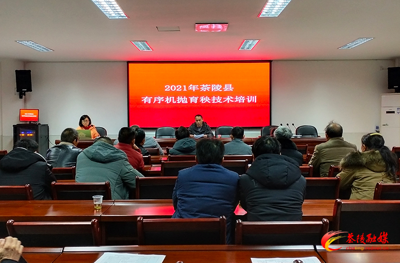 茶陵农户集中学习有序机抛育秧技术