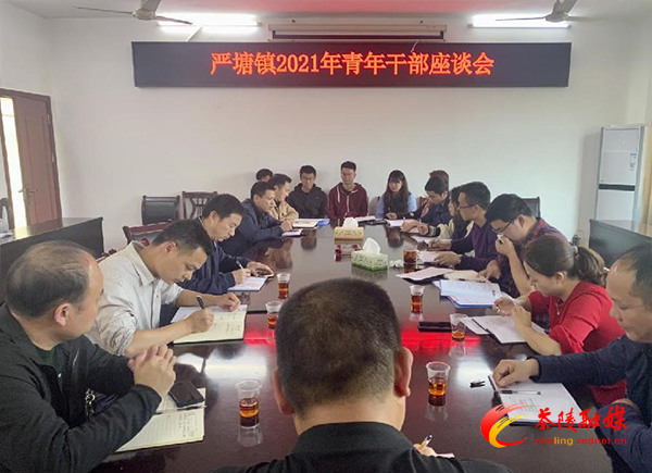 严塘镇召开2021年青年干部座谈会