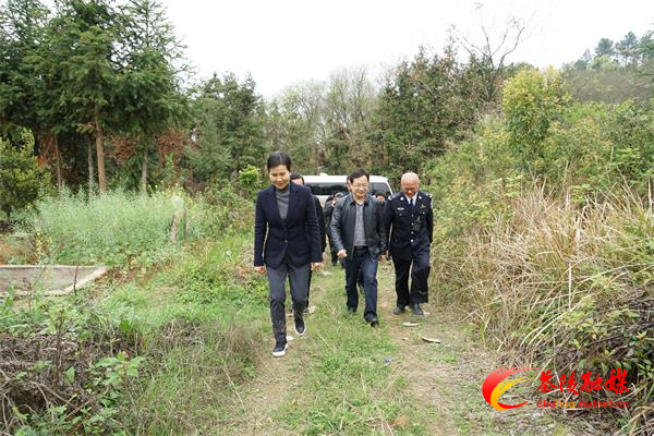 江小忠带队考察调研茶陵县城乡供水一体化项目自来水厂选址