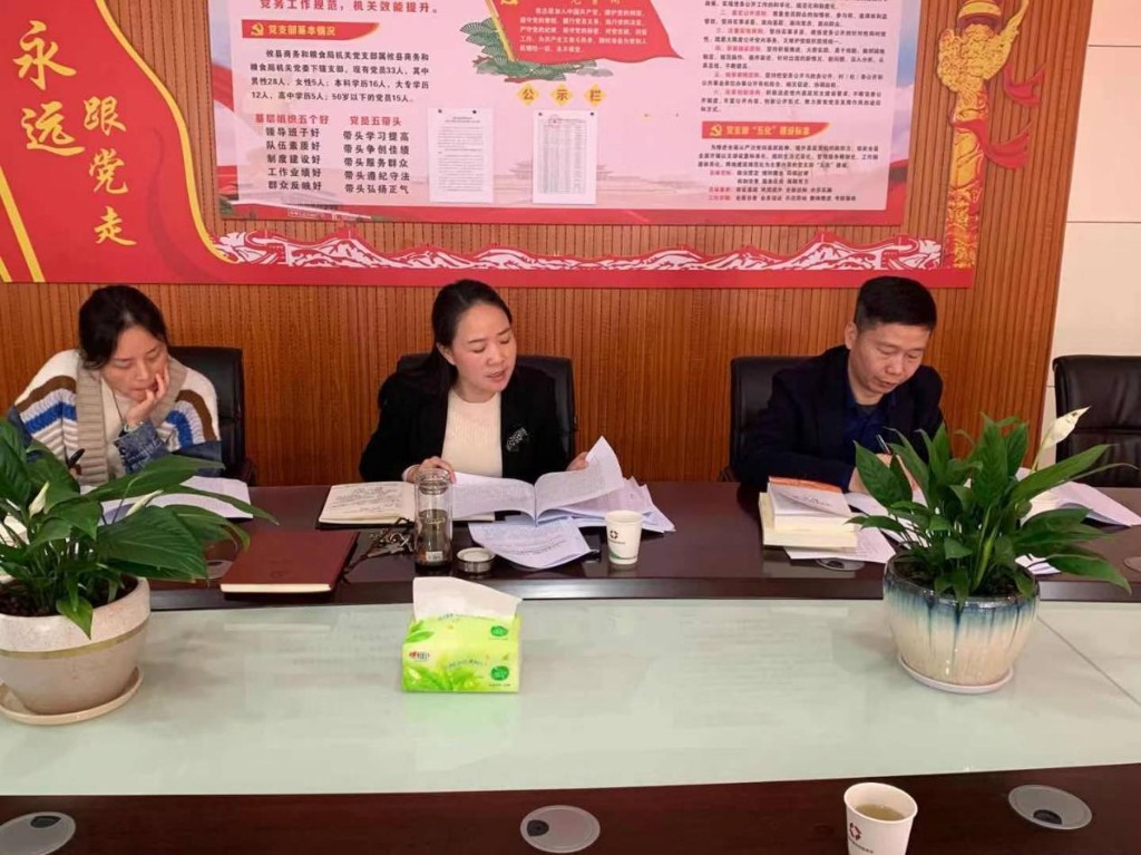 攸县商务和粮食局理论学习中心组 开展党史学习教育第一次专题学习