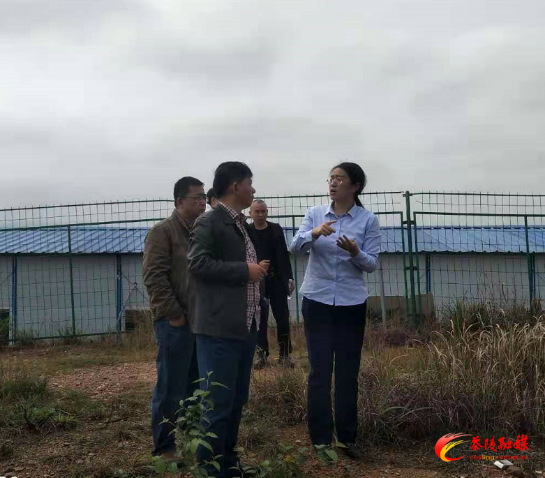 株洲市生态环境局在茶陵开展大排查大整治行动