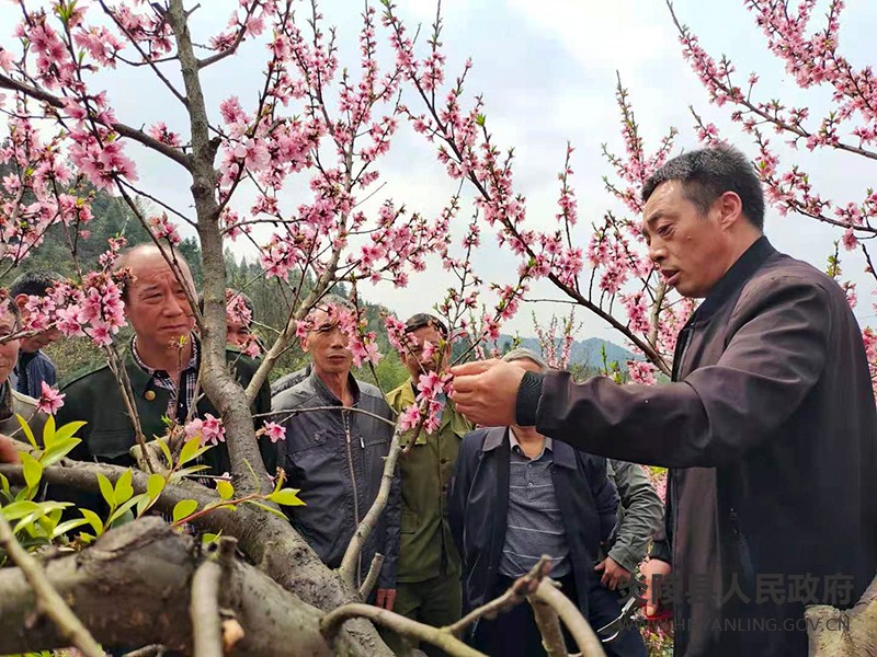 船形乡：厚植产业沃土，助力乡村振兴