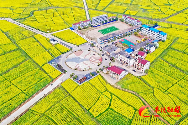 喜讯！茶陵县秩堂镇荣获2021年湖南油菜花节“十大最美油菜花乡村旅游点”称号