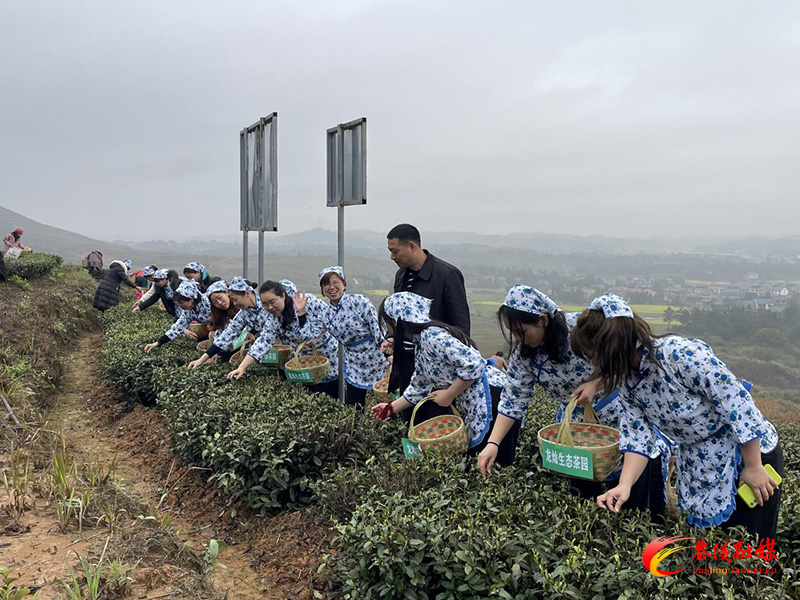 茶陵县开展丰富多彩的活动庆祝“三八”国际妇女节