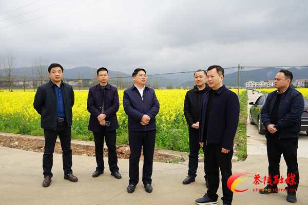 邓元连现场推进第七届油菜花节开幕式筹备工作