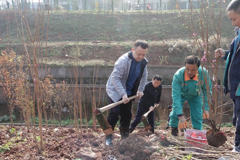 荷塘区开展2021年全民义务植树活动