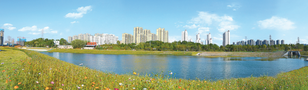 中流击水 破题不止——株洲住建“十三五”成就特刊