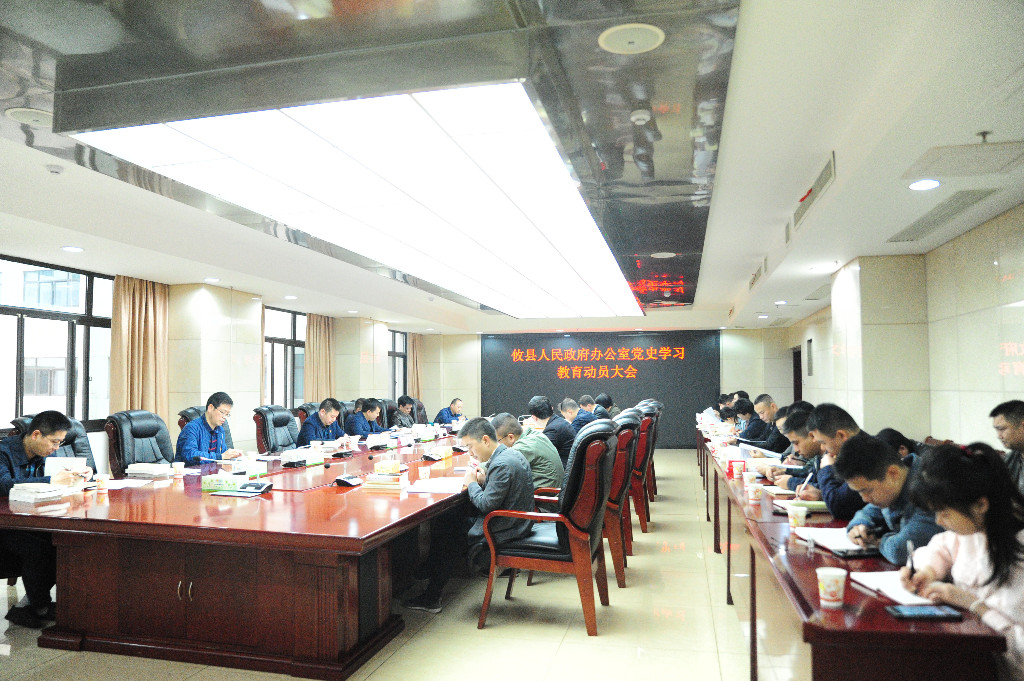 【“奋斗百年路·启航新征程”】县政府办召开党史学习动员大会暨“学史明理” 第一次学习研讨活动
