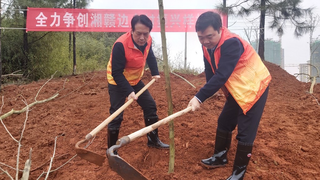【党旗下的新时代文明实践】康月林等县领导参加“3·12”义务植树节活动