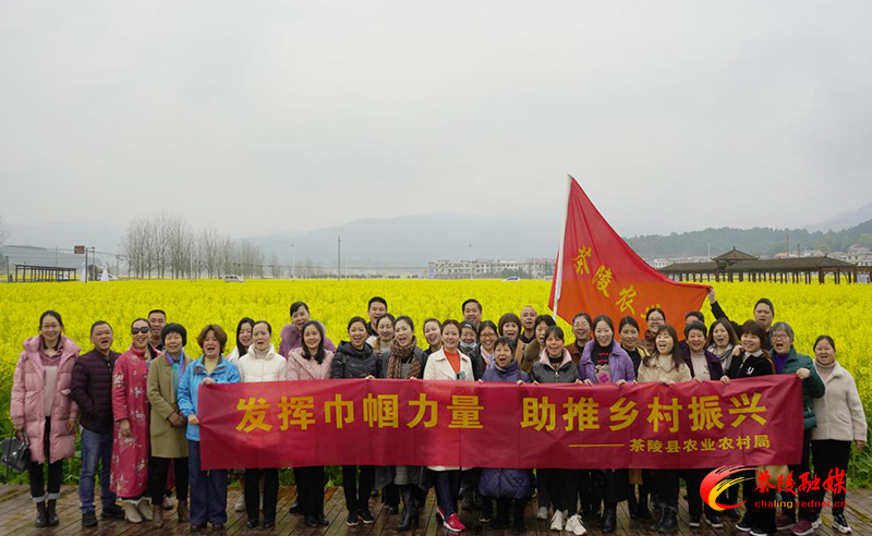 茶陵县农业农村局：油菜花海庆祝“三八”国际妇女节