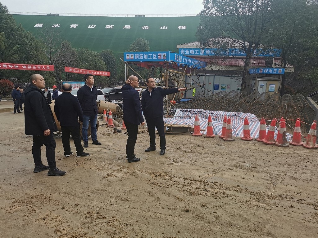 市长江办主任向平督查长江经济带生态环境突出问题整改工作