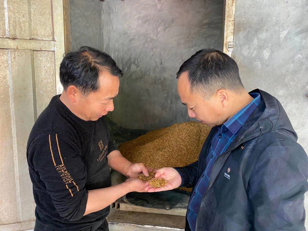 丫江桥镇:以全方位保姆式服务,落实早稻 粮食生产工作任务