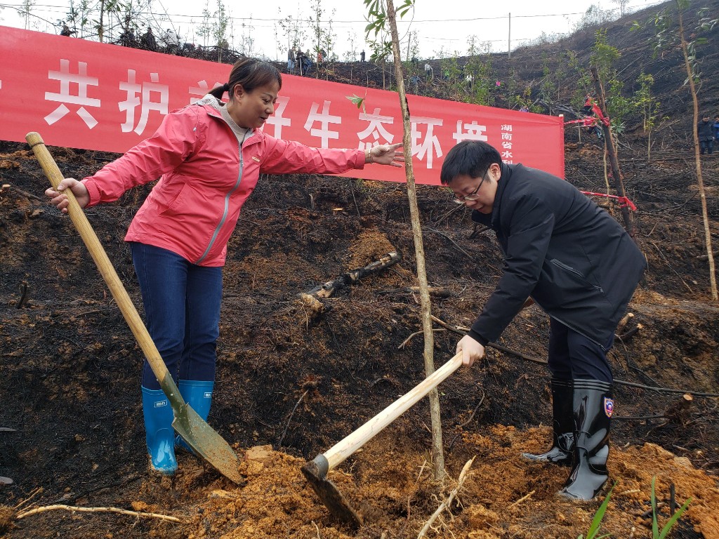 省市县水利部门联合开展植树活动