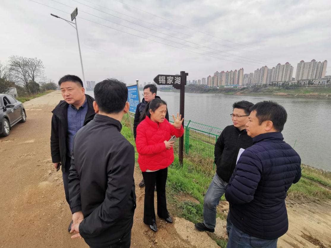 省水利厅城市防洪保护圈复核工作组来我市开展复核工作