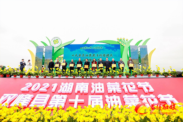 喜讯！茶陵县秩堂镇荣获2021年湖南油菜花节“十大最美油菜花乡村旅游点”称号