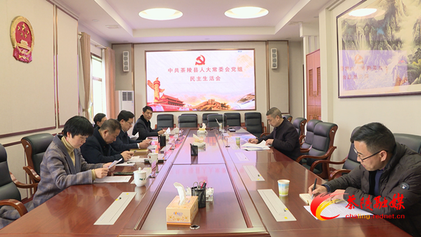 茶陵县人大常委会党组召开2020年度专题民主生活会