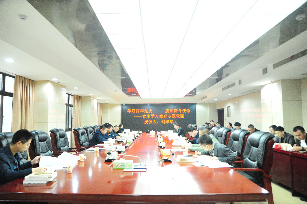 【“奋斗百年路·启航新征程”】县政府办召开党史学习动员大会暨“学史明理” 第一次学习研讨活动