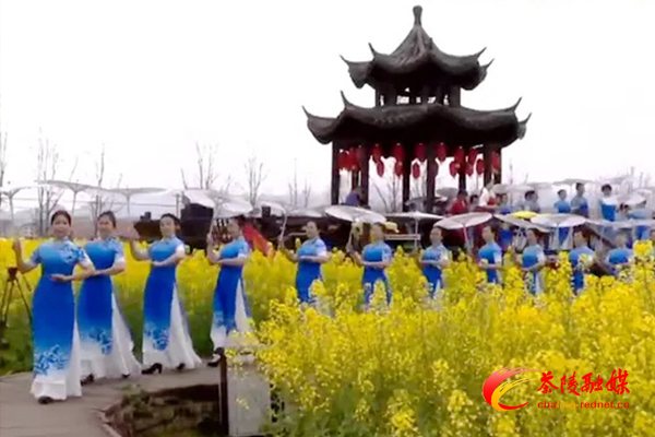 喜讯！茶陵县秩堂镇荣获2021年湖南油菜花节“十大最美油菜花乡村旅游点”称号
