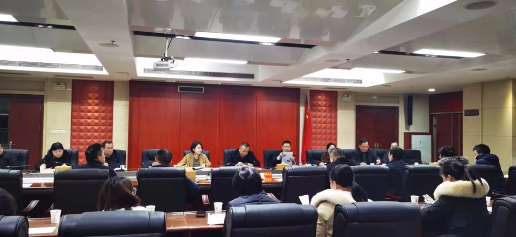 天元区开展镇（街道）所属置业公司 审计整改工作部署会