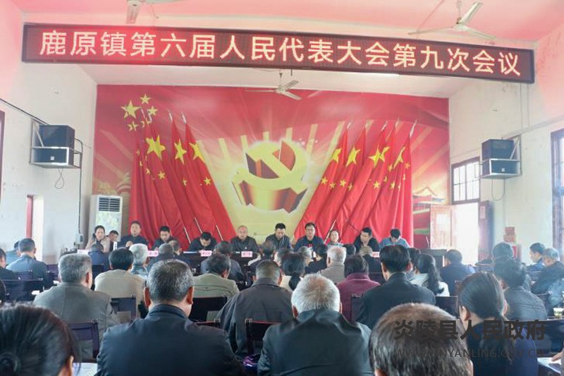 鹿原镇第六届人民代表大会第九次会议胜利召开