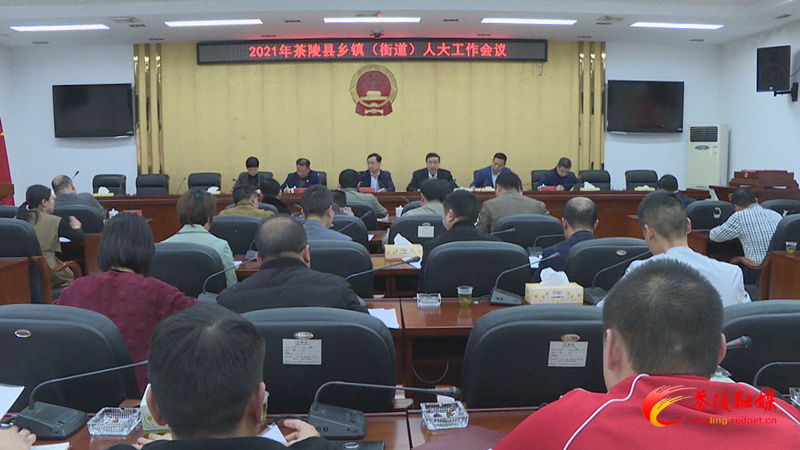 茶陵县2021年乡镇（街道）人大工作会议召开