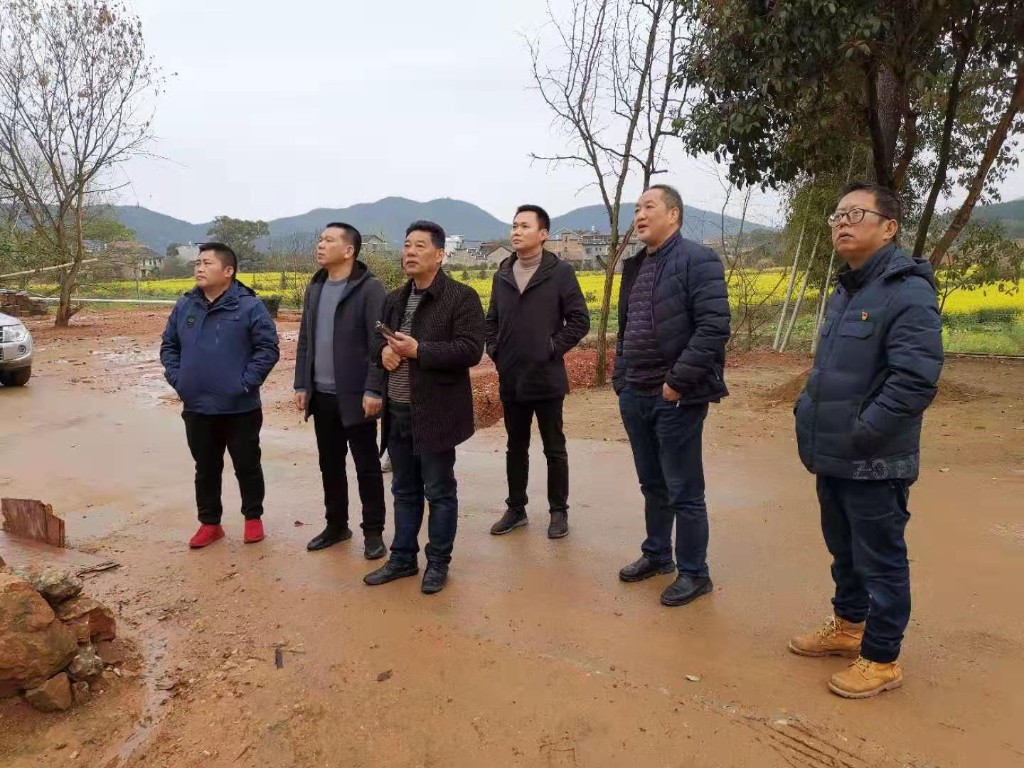 株洲市“三个维度”扎实开展地质灾害 汛前排查