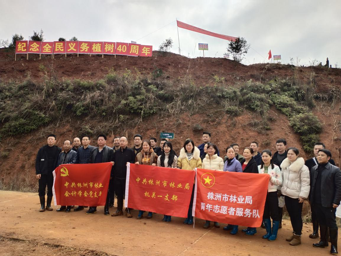 推进绿色株洲建设  服务乡村振兴大局 ——株洲市林业局组织开展全民义务植树活动