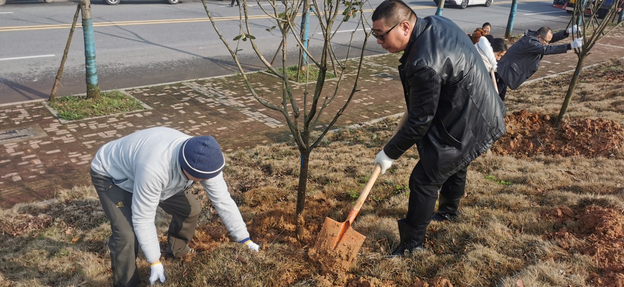 机关事务服务中心参加义务植树活动