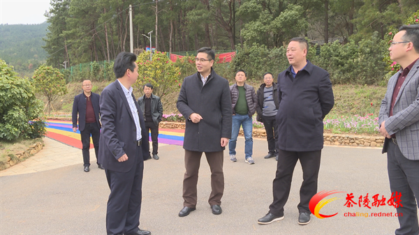 武挪强调研指导茶乡花海项目建设工作