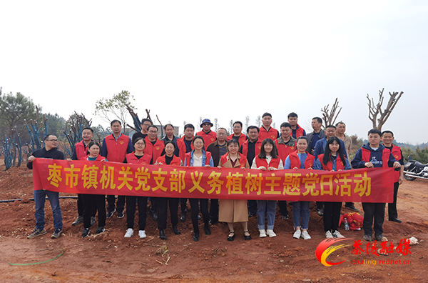 枣市镇组织开展义务植树活动