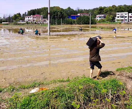 区水利局清渠去污助春耕