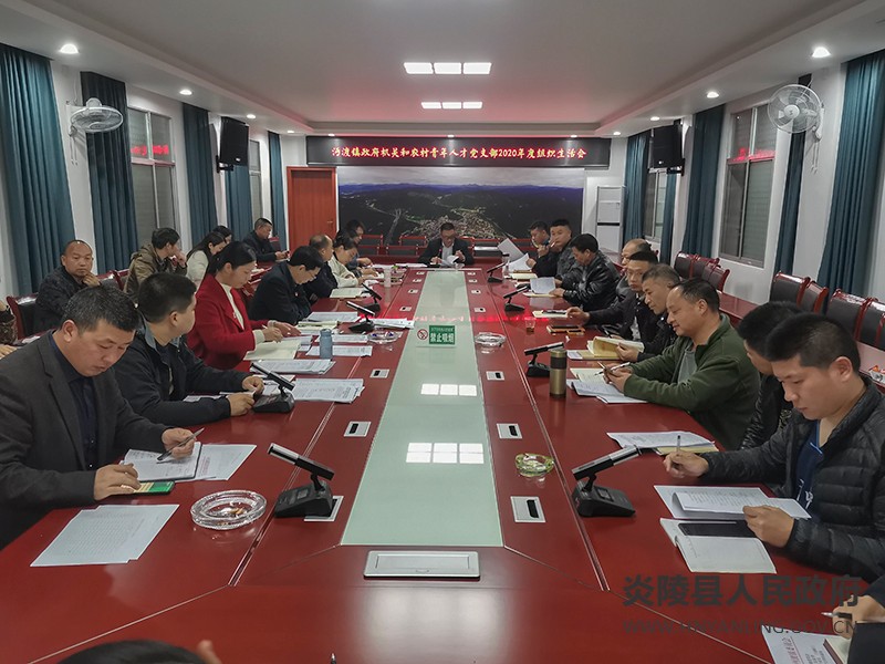 沔渡镇：察问题，互剖析，顺利召开组织生活会