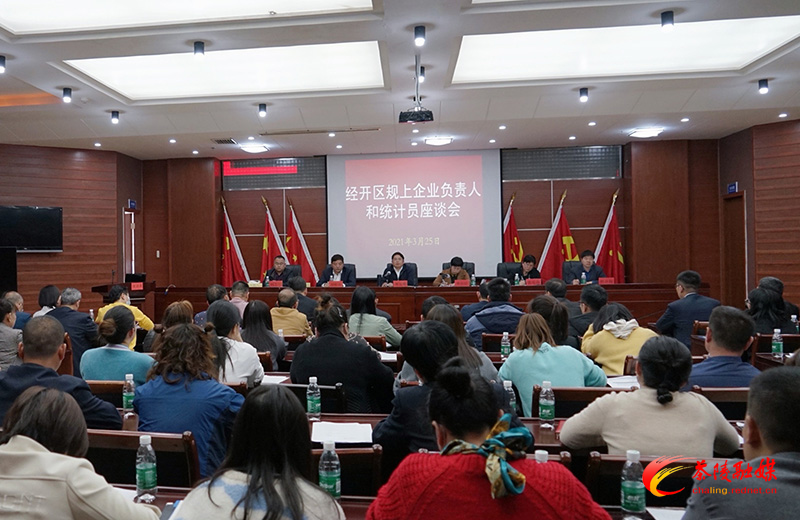 茶陵经开区规上企业负责人和统计员座谈会召开