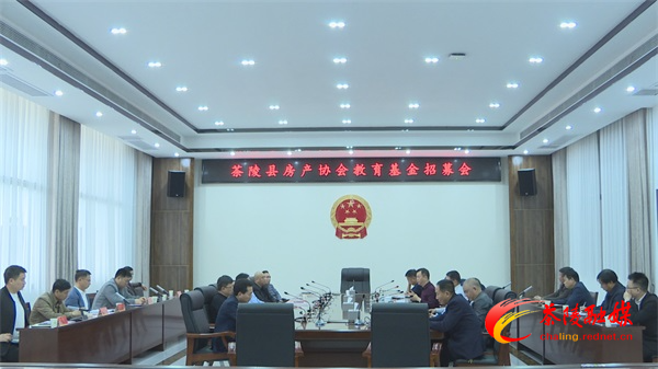 茶陵县房产协会教育基金招募会召开