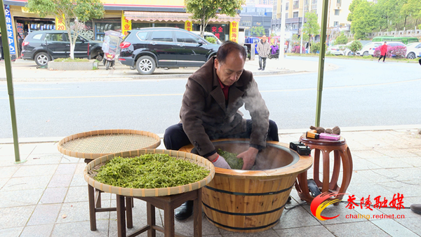 茶陵春茶飘香时茶友评鉴传四方
