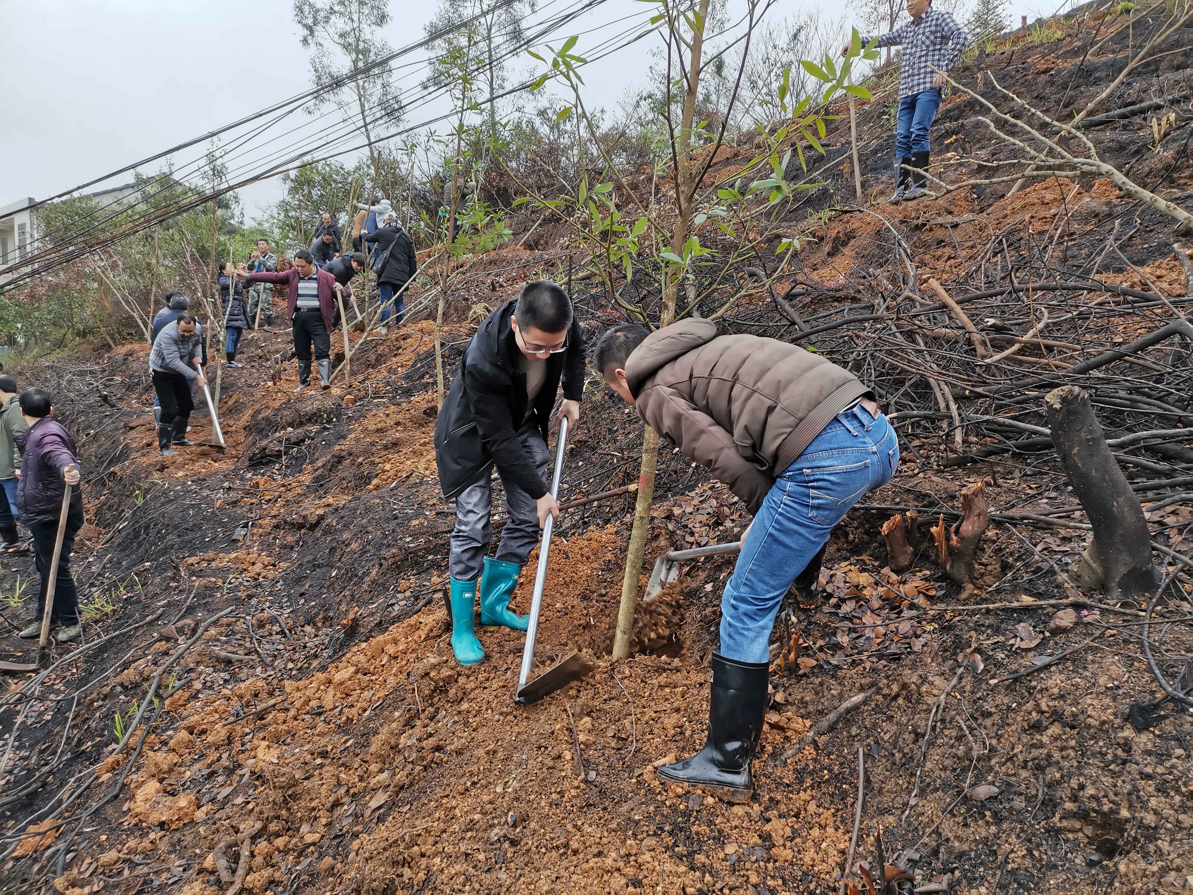 株洲市生态环境局炎陵分局参加全民义务植树活动