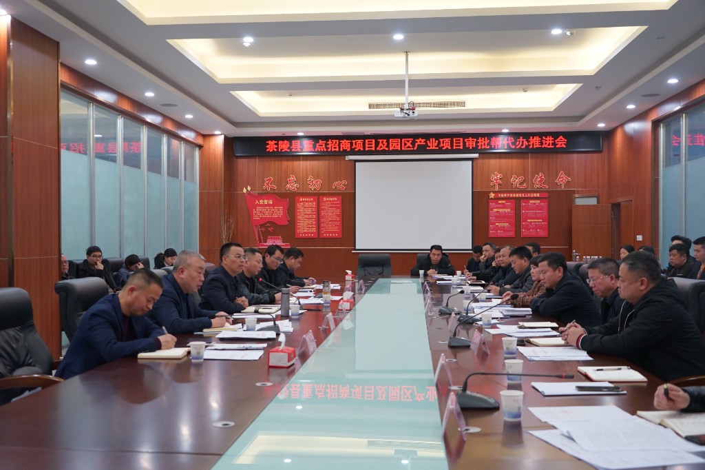 茶陵县重大招商项目及园区重点产业项目审批帮代办推进会召开