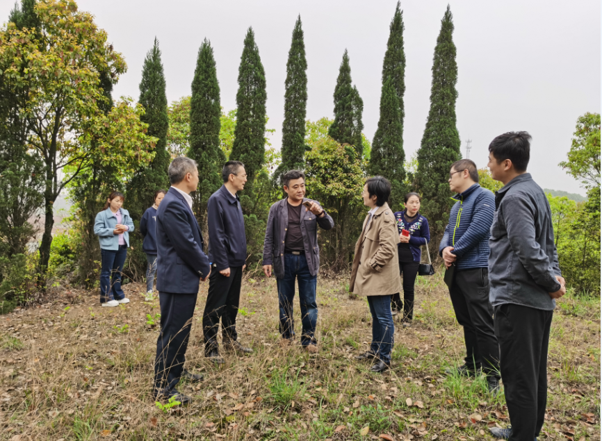 株洲市文化旅游广电体育局对我区革命文物开展调研座谈