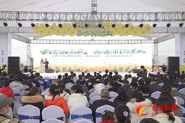 喜讯！茶陵县秩堂镇荣获2021年湖南油菜花节“十大最美油菜花乡村旅游点”称号