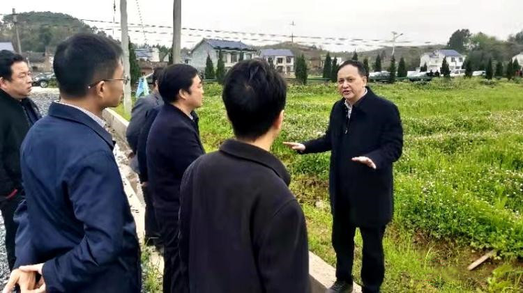副市长顾峰来攸调研春耕生产工作