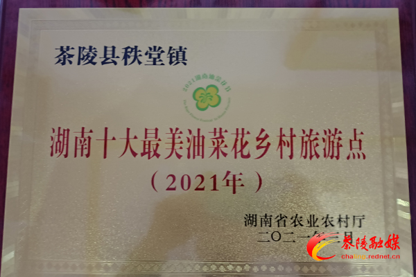 喜讯！茶陵县秩堂镇荣获2021年湖南油菜花节“十大最美油菜花乡村旅游点”称号