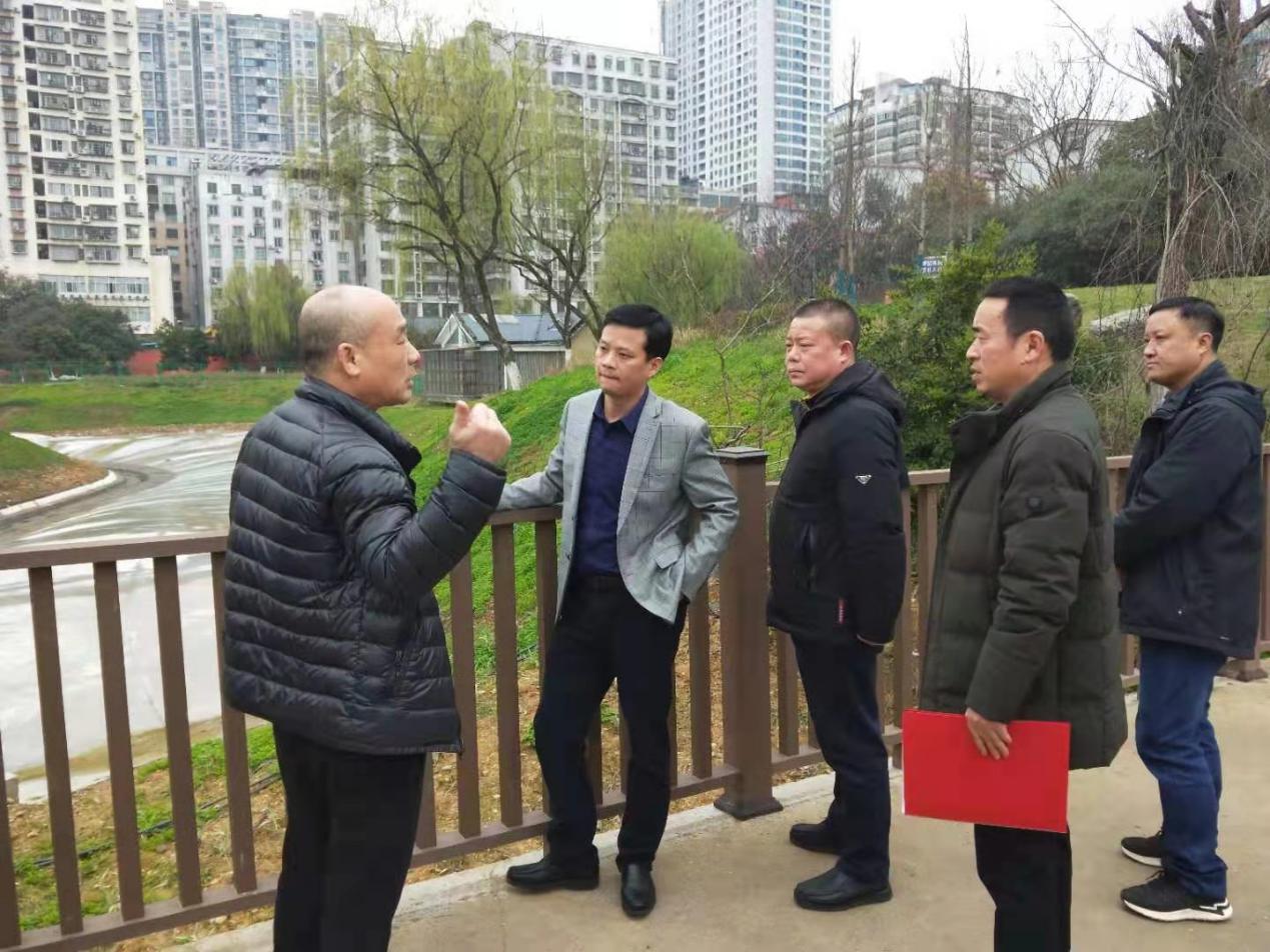 株洲市生态环境局荷塘分局查看部分黑臭水体整治效果