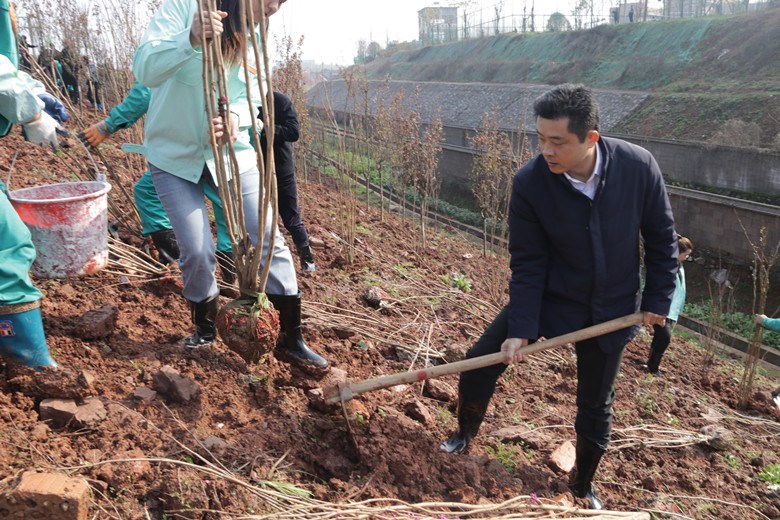 荷塘区开展2021年全民义务植树活动