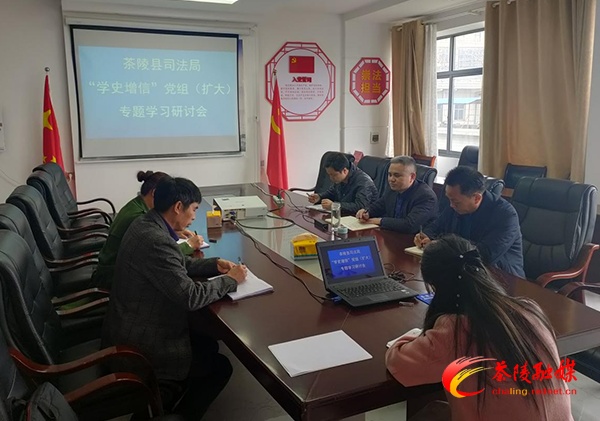 茶陵县司法局开展“学史增信”专题学习研讨
