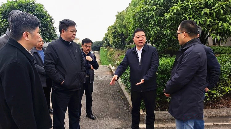 李鹏程督导调研环保问题整改工作