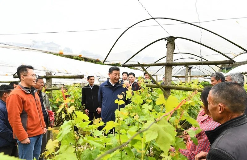 习近平在广西考察时强调 解放思想深化改革凝心聚力担当实干 建设新时代中国特色社会主义壮美广西