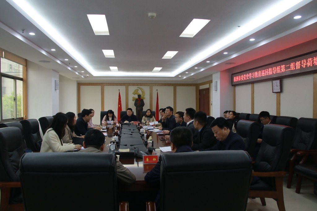 市委党史学习教育第二巡回指导组 来荷塘区督导党史学习教育工作