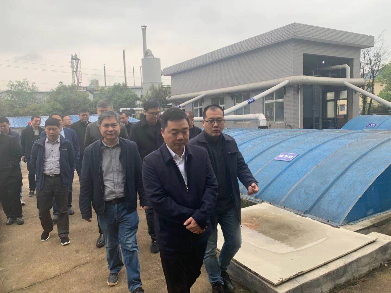 心齐劲足氛围好