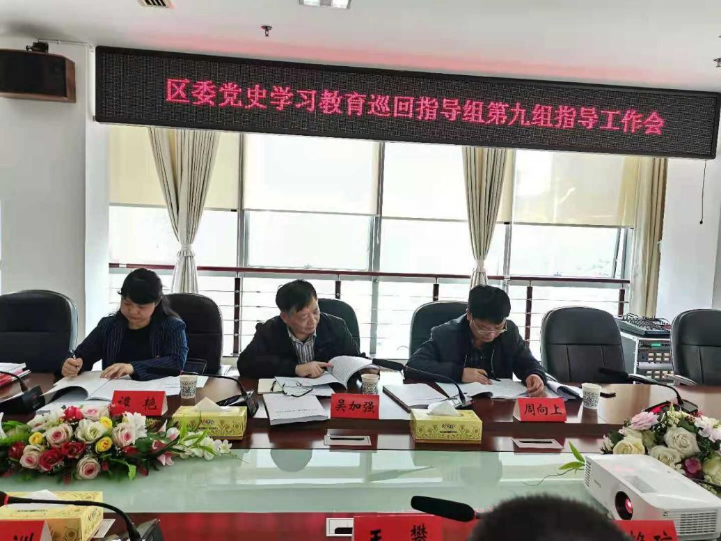 区委党史学习教育第九巡回指导组第一轮巡回指导：抓好“两个督促”，做到“五个查看”