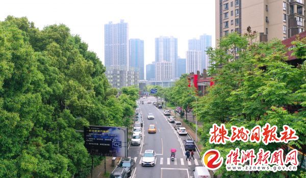 庐山春天道路：曾经是“羊肠小道”如今，改造拉动了区域“微循环”